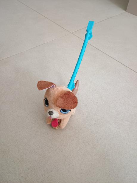 Psík na venčenie na koliesku, 