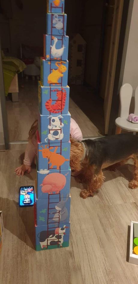 Djeco veza z kartonu, 