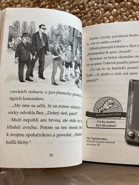 Mini tigrí tím brnenie dračieho zabijaka (2017), 