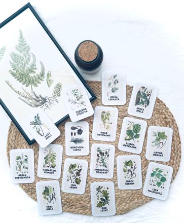 Stromy - montessori komunikačné kartičky, 