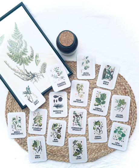 Stromy - montessori komunikačné kartičky, 