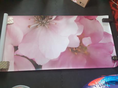 Fototapeta 254 x 184 cm - jabloňové kvety,