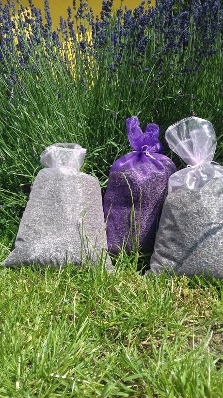 Sušená levanduľa, 