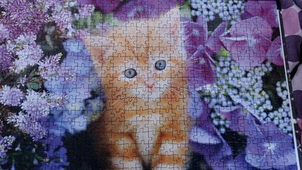 Puzzle,