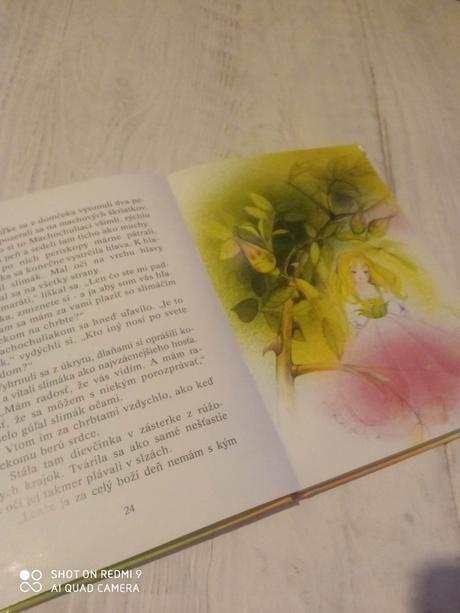 Rozrpávky z machového lesa, 