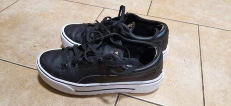 Puma platform, puma,40