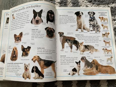 Psík príručka pre malých chovateľov psov (1993),