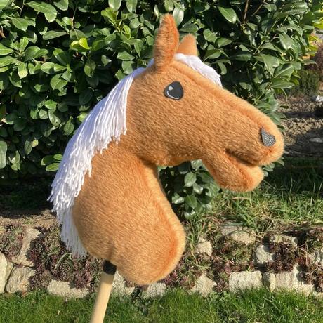 Hobby horse,