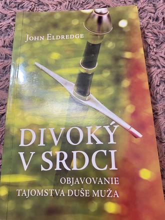 Divoký v srdci objavovanie tajomstva duše muža jo,