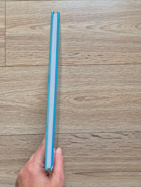 Zuzana csontosová - madam ježibaba, 