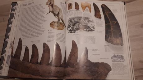 Krásna kniha dinosaury david norman, 