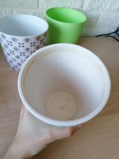 Kvetináč / kochlík na izbové rastliny, 