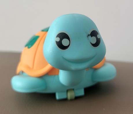 Chodiaca korytnačka, 