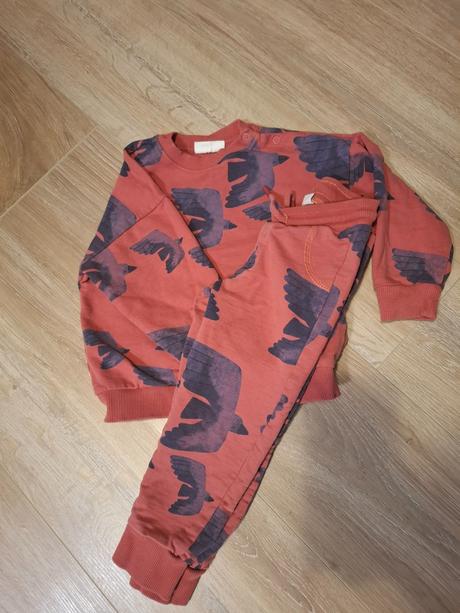 Tepláková súprava, coccodrillo,98