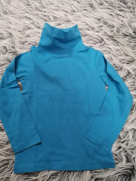 Modrý rolák, palomino,110