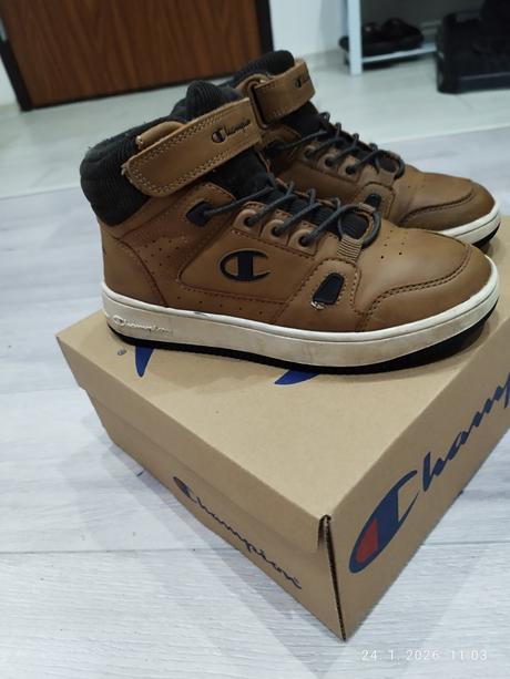 Topanky, champion,33