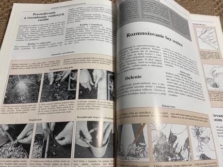 Biozáhrada pre radosť a zdravie geoff hamilton,