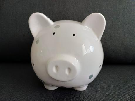 Pokladnička prasiatko,