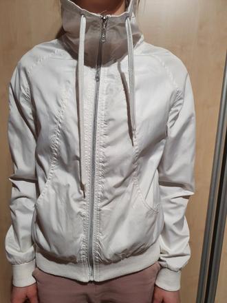 Biela bunda, kenvelo,m