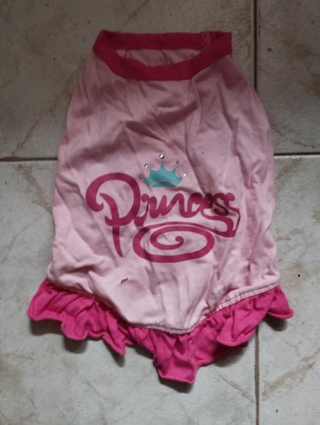 Oblečenie pre psíka, 