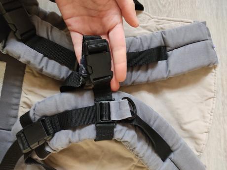 Nosič liliputi, liliputi