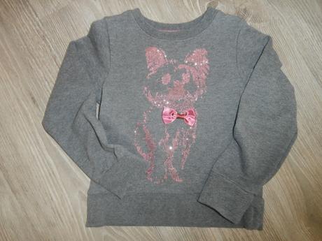 Mikina so psíkom, 104