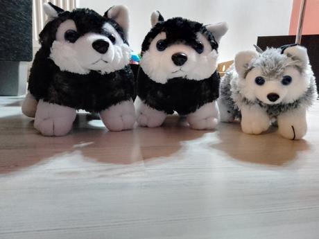 Plyšové vankúšiky psíky, 