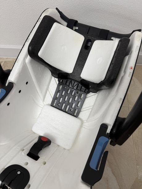 Vajíčko concord, concord