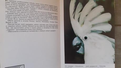 Vreckový atlas cudzokrajných vtákov,