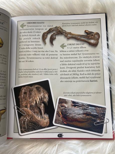Tyrannosaurus tyranský jašter komiks,