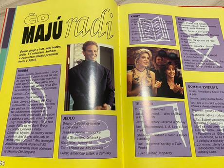 Beverly hills 90210 retro stará kniha ročenka 1994, 