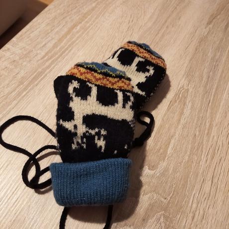 Zimné rukavice, 104