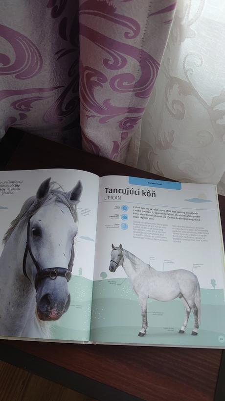 Úplne nová nádherná kniha kone a poníky, 
