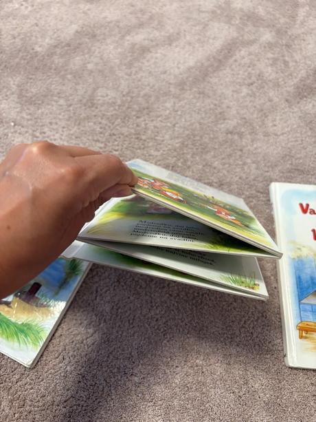 Knihy slovenske riekanky, 