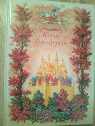 Kocúr čarodejník,