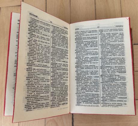 Slovník rusko český česko ruský za 3eur, 