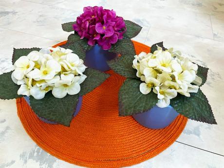 Azalka v keramickom črepe,