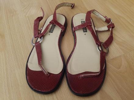 Zabkove sandale, george,37