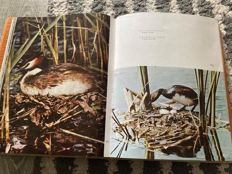 Spev prírody prvé vydanie 1971,