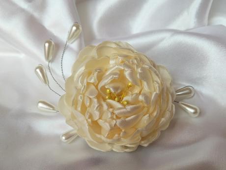 Romantická pivonka, 