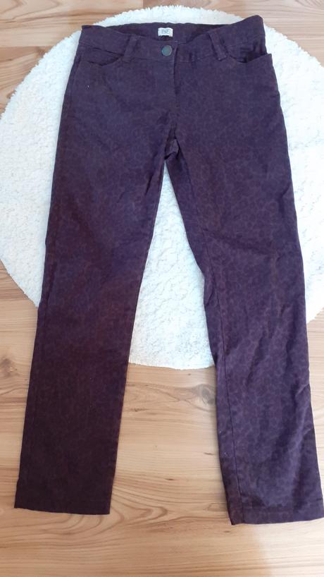 Rifle pas 74cm, f&f,s