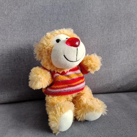 Plyšák - hrací medvedík, 