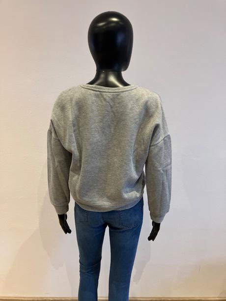 Dámska mikina s potlačou a nápisom sivá (s), s