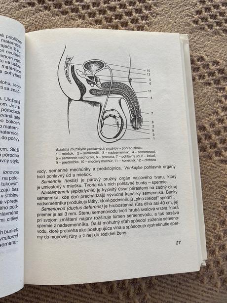 Xx a xy helena rozinajová o láske sexe manželstve,