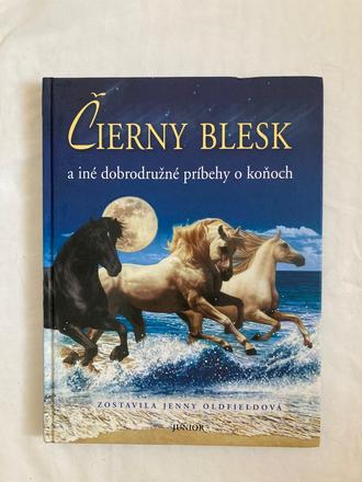 Knižka o koňoch čierny blesk,