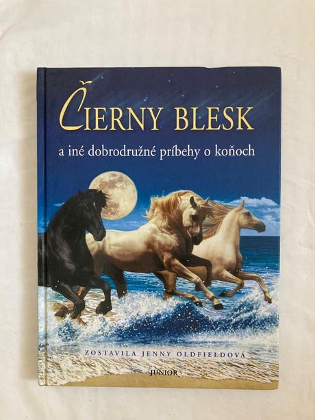 Knižka o koňoch čierny blesk, 