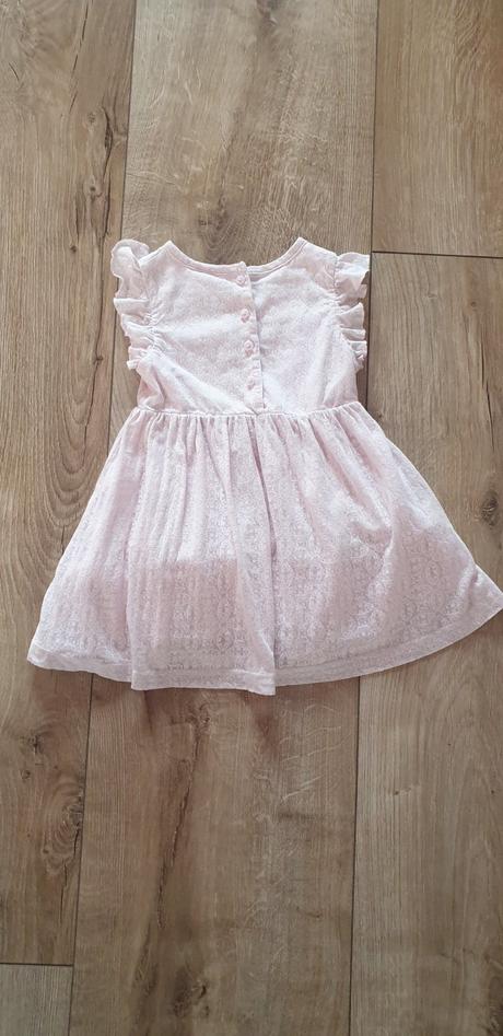 Ruzove saty, topomini,92