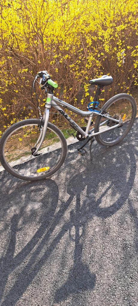 Bicykel amulet 24, amulet,24