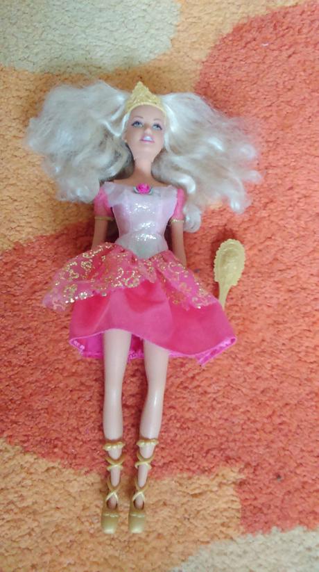 Barbie šípková ruženka,
