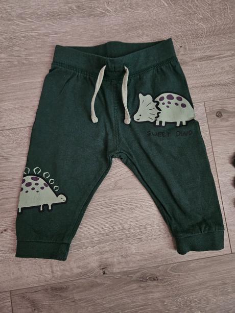 Tenšie tepláčky s dinosauríkmi 68, pepco,68